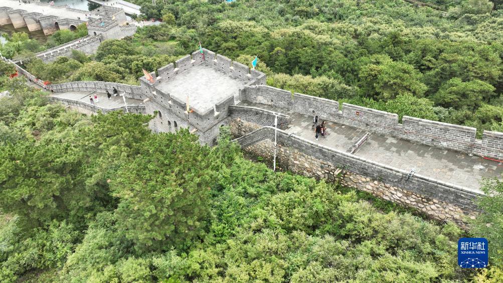 微乐斗地主电脑版官网下载